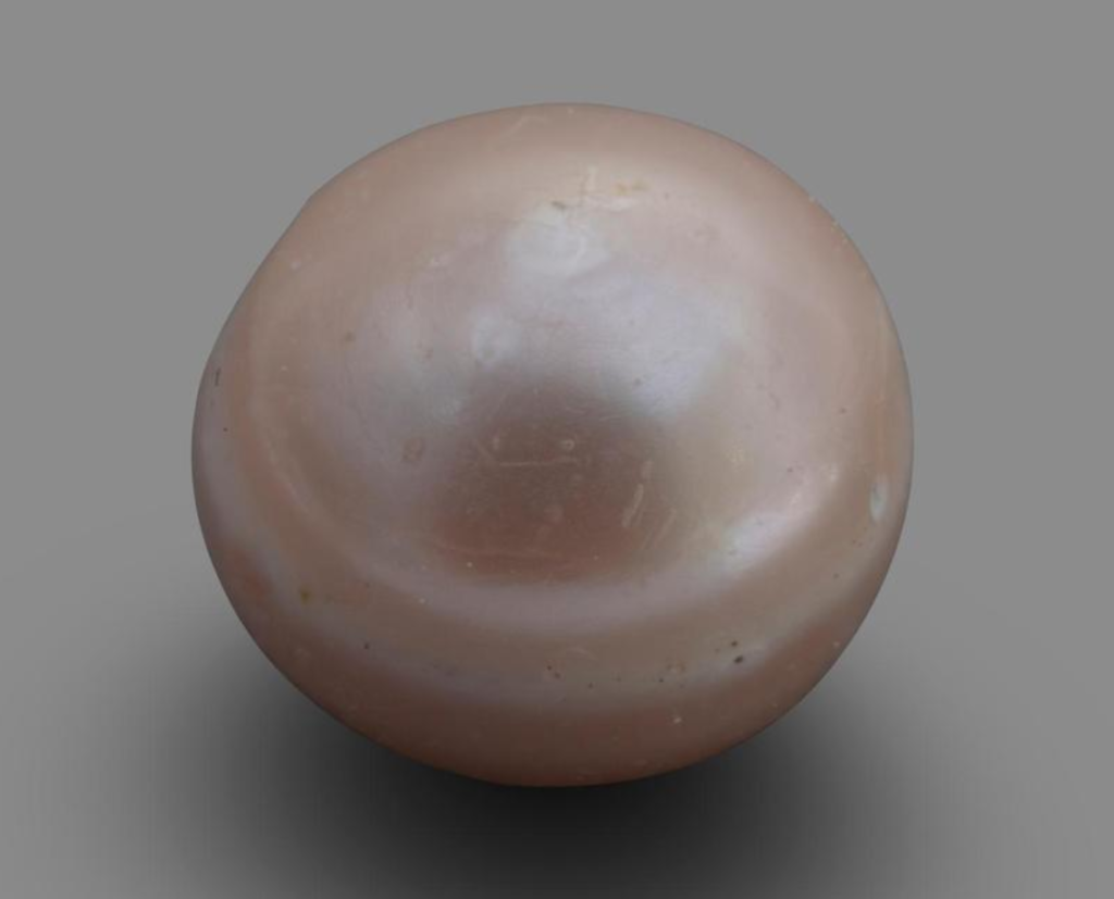 The oldest pearl in the world, found in Abu Dhabi. Photo: Department of Culture and Tourism, Abu Dhabi