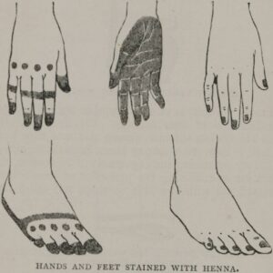 Edward William Lane’s massive work Manners and Customs of the Modern Egyptians (1836), henna patterns - VIA Henna by Sienna